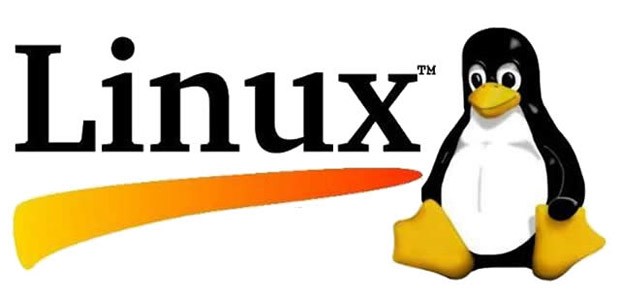 Avantajlar Ve Dezavantajlaryla LINUX